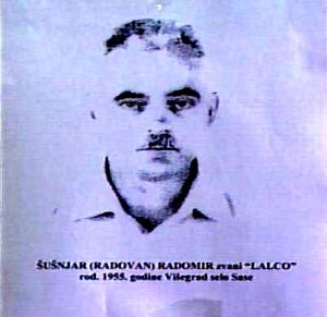 Radomir Susnjar